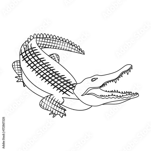 Crocodile, dangerous predator. Reptile, Nile crocodile single icon in outline style vector symbol stock illustration web.