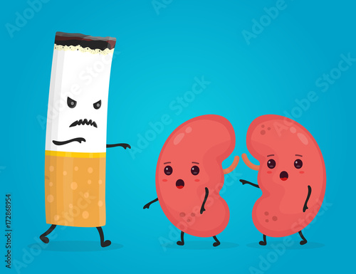 Smoke kill kidneys. Stop smoke concept. 