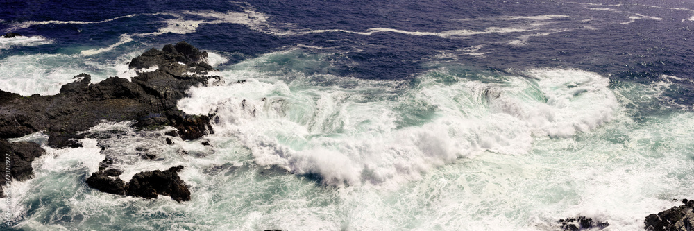 The Wave The Wave
