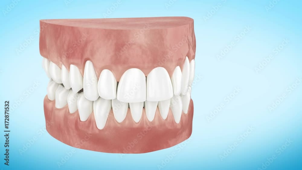 Beautiful White Clean Teeth Turning Close Up 3d Animation. Alpha Channel. Ultra HD 4k 3840x2160. Beautiful White Clean Teeth Turning Close Up 3d Animation. Alpha Channel. Ultra HD 4k 3840x2160.
