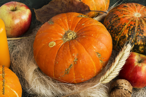 Autumn harvest - pumpkins  apples  nuts  wheat  on a dark background