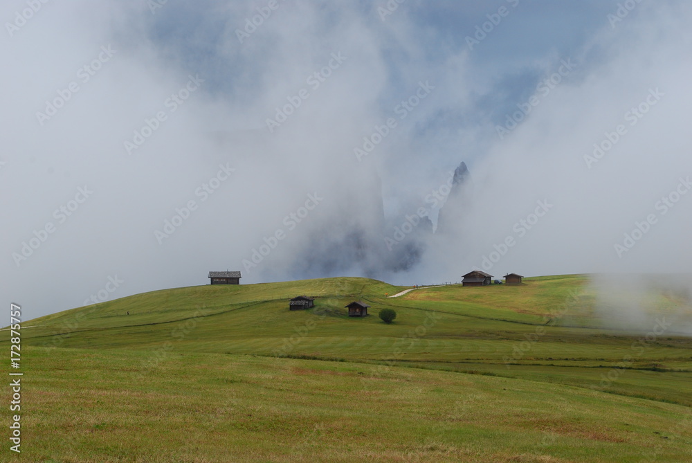 Foggy day in Seiser Alm, Dolomites