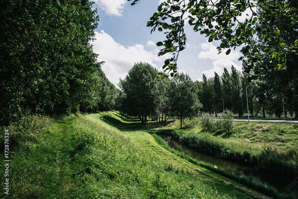 Rotterdam Forest