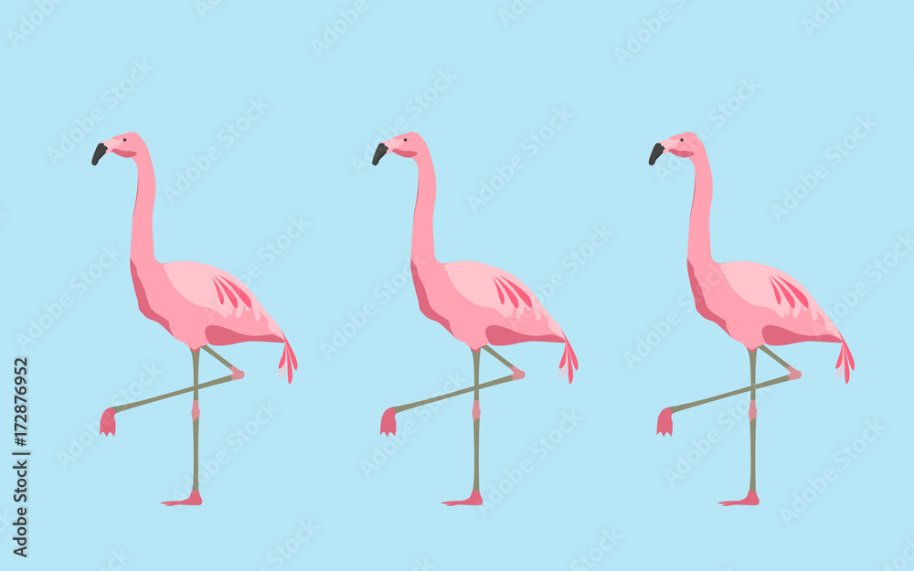 Obraz premium pink flamingo birds over blue background