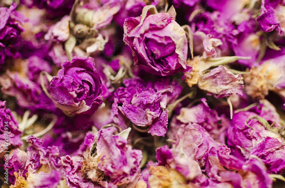 rosebuds rosebuds