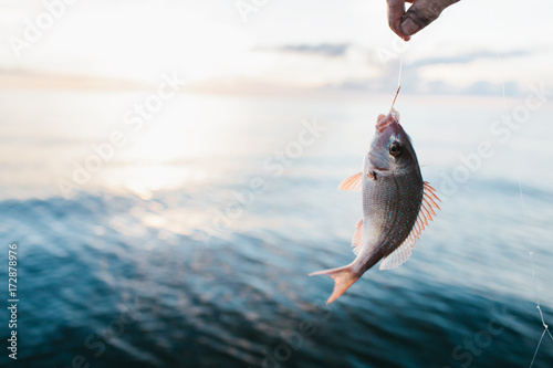 A fish caught with a hook and line