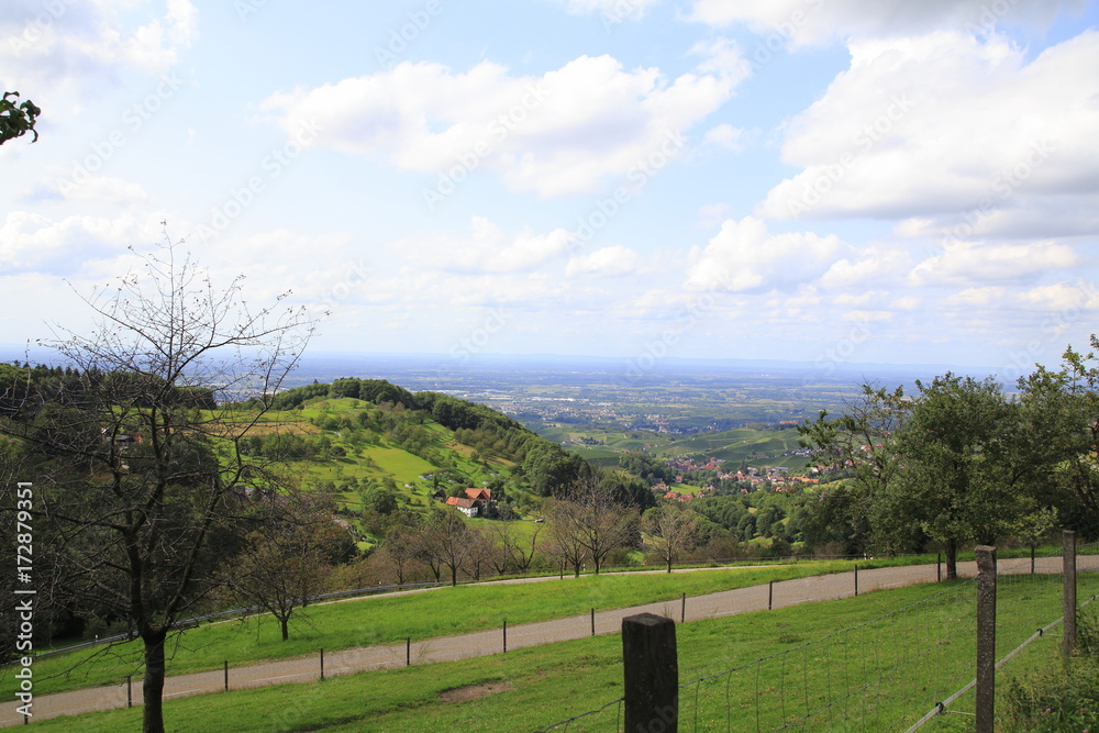 Blick auf die Rheinebene, über Sasbachwalden, Schwarzwald