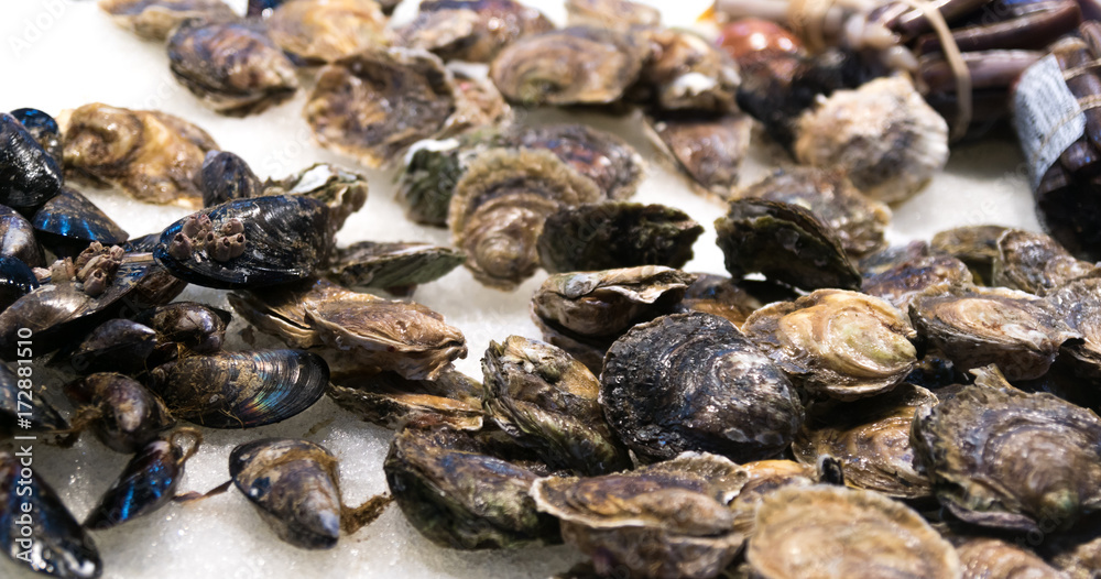 fresh oysters in mussels on ice at the fish market in Canary Islands, Spain. Sea food straigh from fisherman fresh oysters in mussels on ice at the fish market in Canary Islands, Spain. Sea food straigh from fisherman