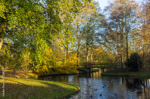 canals of Amstelveen, autumn time