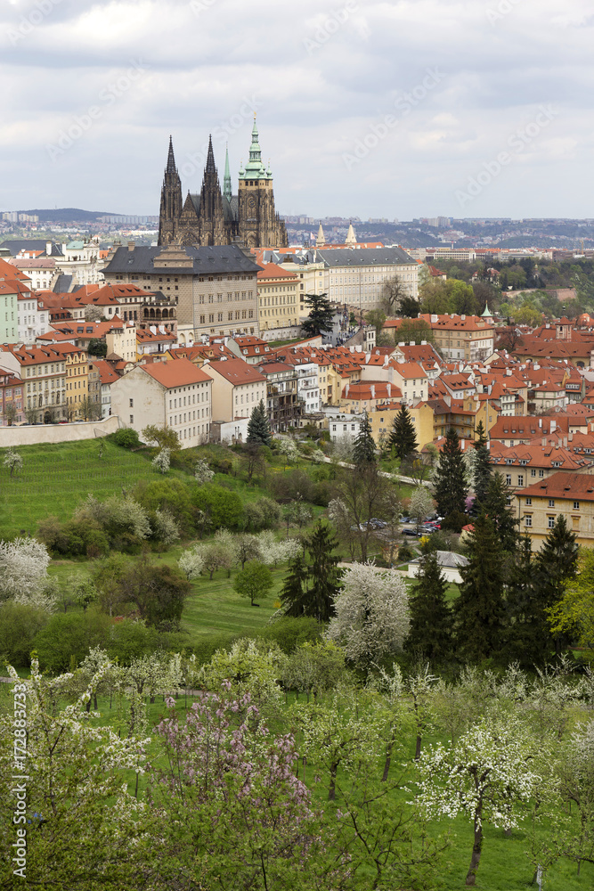 Spring Prague City with gothic Castle and the green Nature and flowering Trees, Czech Republic Spring Prague City with gothic Castle and the green Nature and flowering Trees, Czech Republic