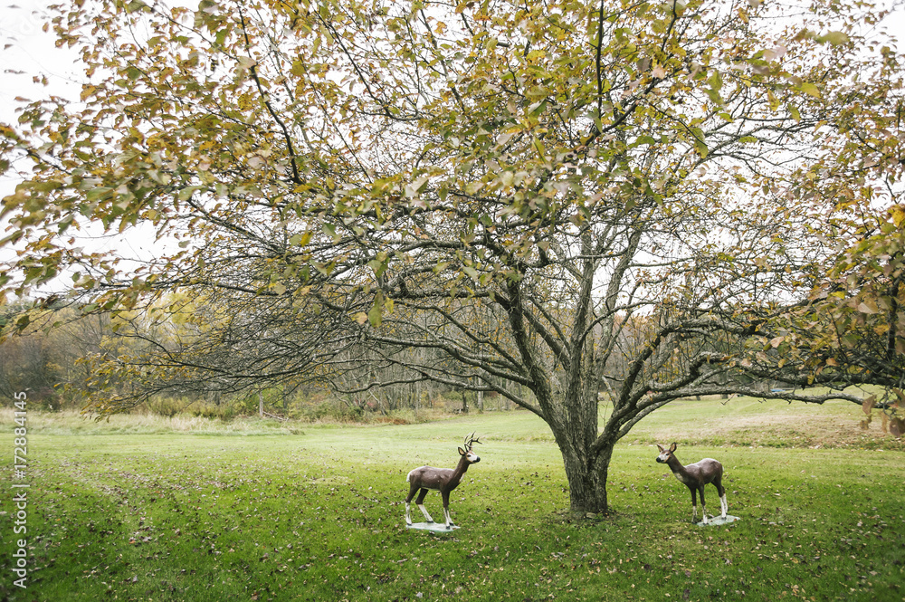 Lawn Art