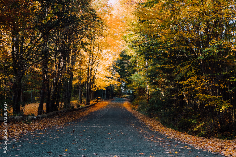 © LeaJones/Stocksy - country road in the fall © LeaJones/Stocksy - country road in the fall
