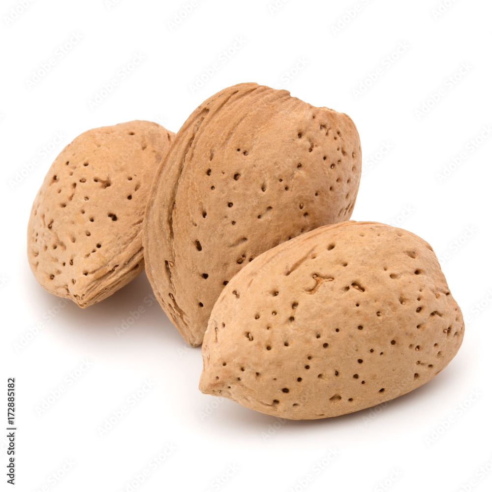 Almond nut in shell isolated on white background close up Almond nut in shell isolated on white background close up
