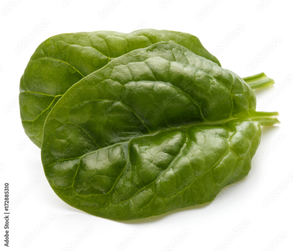 Baby spinach leaves isolated on white background cutout
