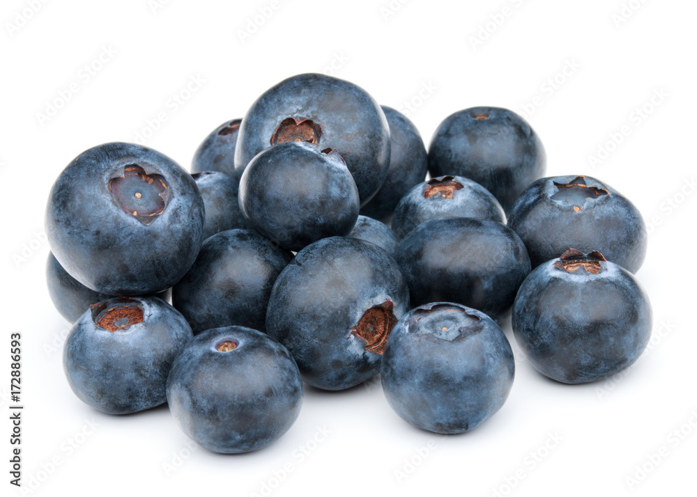 blueberry or bilberry or blackberry or blue whortleberry or huckleberry isolated on white background cutout blueberry or bilberry or blackberry or blue whortleberry or huckleberry isolated on white background cutout