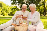 senior couple with strawberries at picnic in park