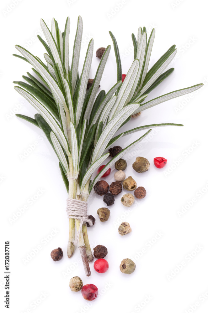 rosemary herb spice leaves and peppercorns isolated on white background cutout