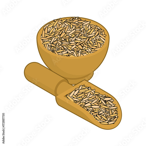 Oat in wooden bowl and spoon. Groats in wood dish and shovel. Grain on white background. Vector illustration