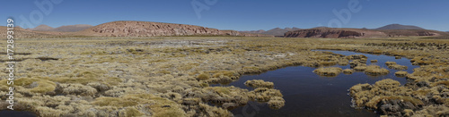 Wetland along a tributary of the River Lauca high on the Altiplano of northern Chile in Lauca National Park. photo