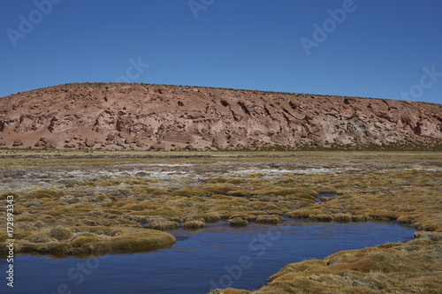 Wetland along a tributary of the River Lauca high on the Altiplano of northern Chile in Lauca National Park. photo