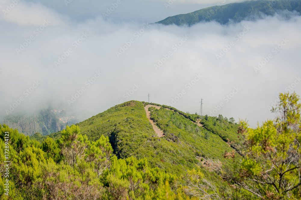Fototapeta premium Blick von der Spitze auf einen bewachsenen Hügel im Nebelmeer