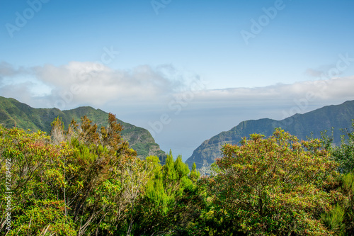 Bäume versperren die Aussicht auf die Bergketten und das Meer auf der Insel Madeira