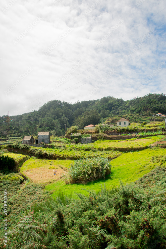 kleines Dorf zwischen Feldern auf der Insel Madeira