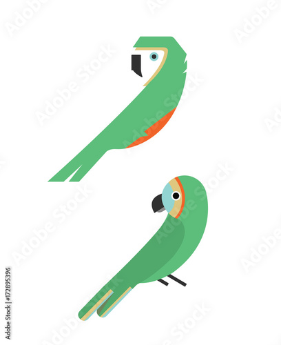 Vector Bird