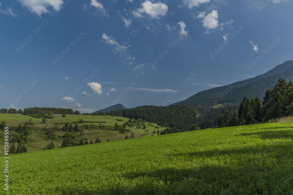 Plakat Meadow under Velky Choc hill near Jasenova village in north Slovakia in summer