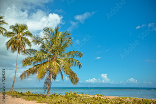 Amazing landscape in the wil beach Playa Bonita, Las Terrenas, Dominican Republic © Margarita SoulRay