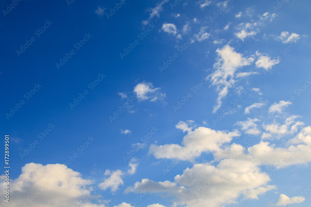 Fototapeta premium 青空