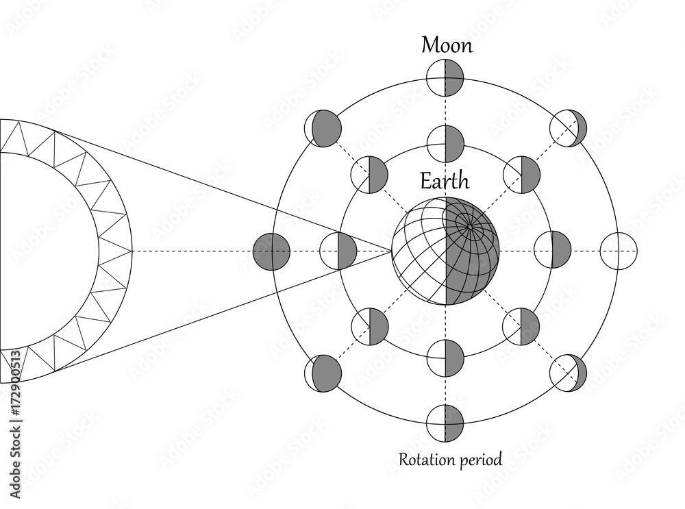 Sciense moon phases scheme, vector background Sciense moon phases scheme, vector background