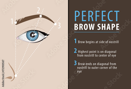 Perfect eyebrow shape tutorial. vector template