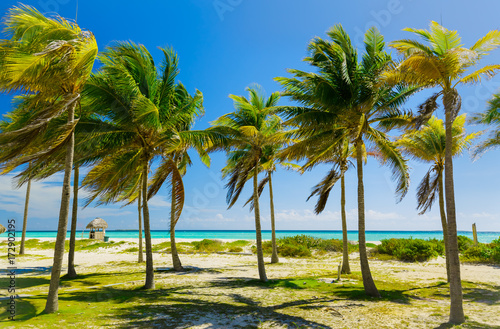 Fototapeta Naklejka Na Ścianę i Meble -  amazing beautiful palm beach and tranquil ocean landscape view on blue sky background