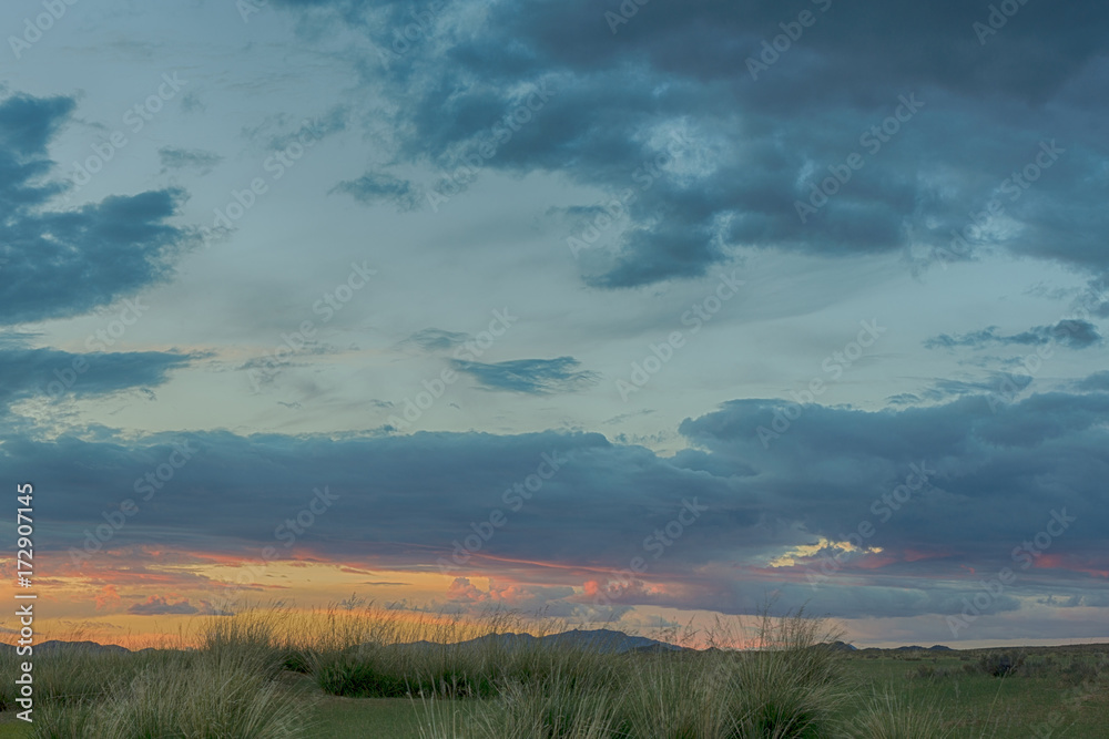 picturesque view on beautiful green meadow at sunset