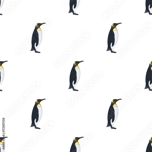 Penguin, flightless sea bird. The Imperial Penguin single icon in cartoon style vector symbol stock illustration web.