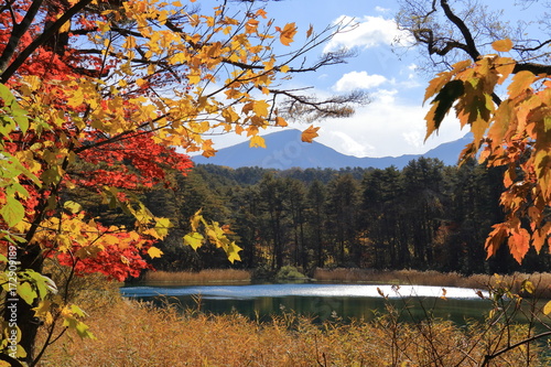 Goshikinuma lake with colored leaves in Fukushima, Japan. 五色沼の紅葉 photo