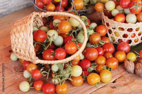 Fresh tomatoes for cooking on wood background