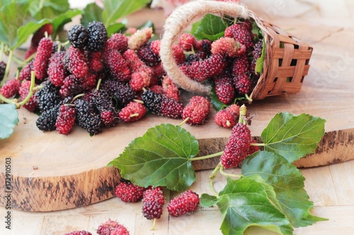 Mulberry organic red and black is tasty