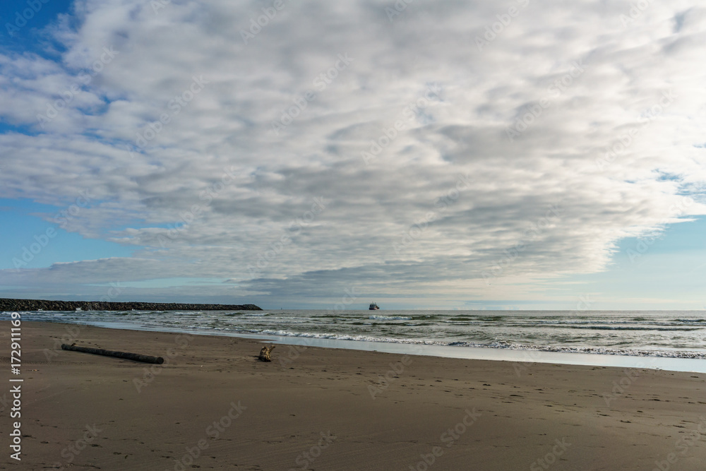 stunning view of the pacific northwest coastline.