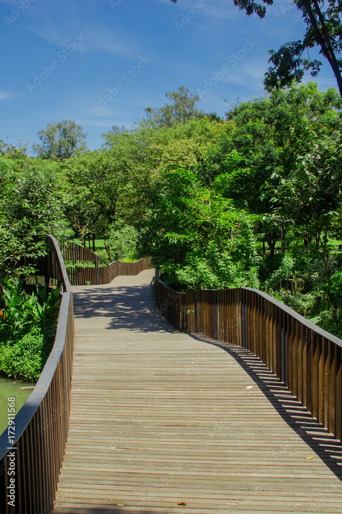 wonderful walkway in the park wonderful walkway in the park