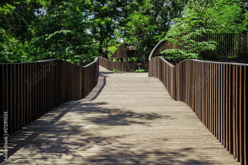 wonderful walkway in the park