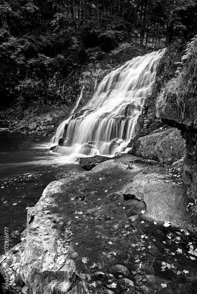Fototapeta premium Wadsworth Falls B/W