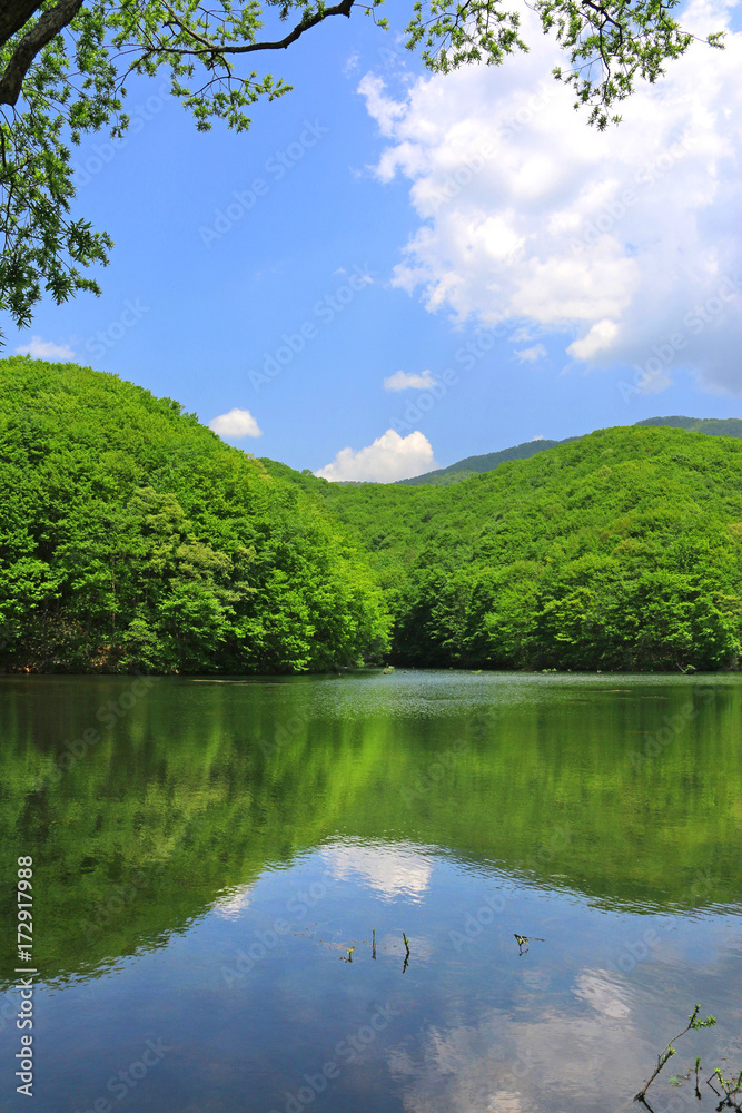 曲沢沼（裏磐梯・北塩原村）