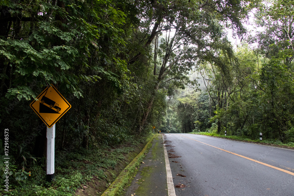 Asphalt road through the deep forest. Close up, Nature background. Asphalt road through the deep forest. Close up, Nature background.