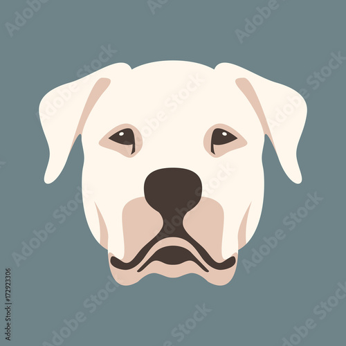 Argentine dog face  vector illustration style flat 