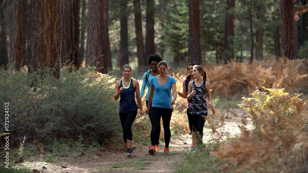 Lesbian couple high five while riding bikes in a forest Lesbian couple high five while riding bikes in a forest