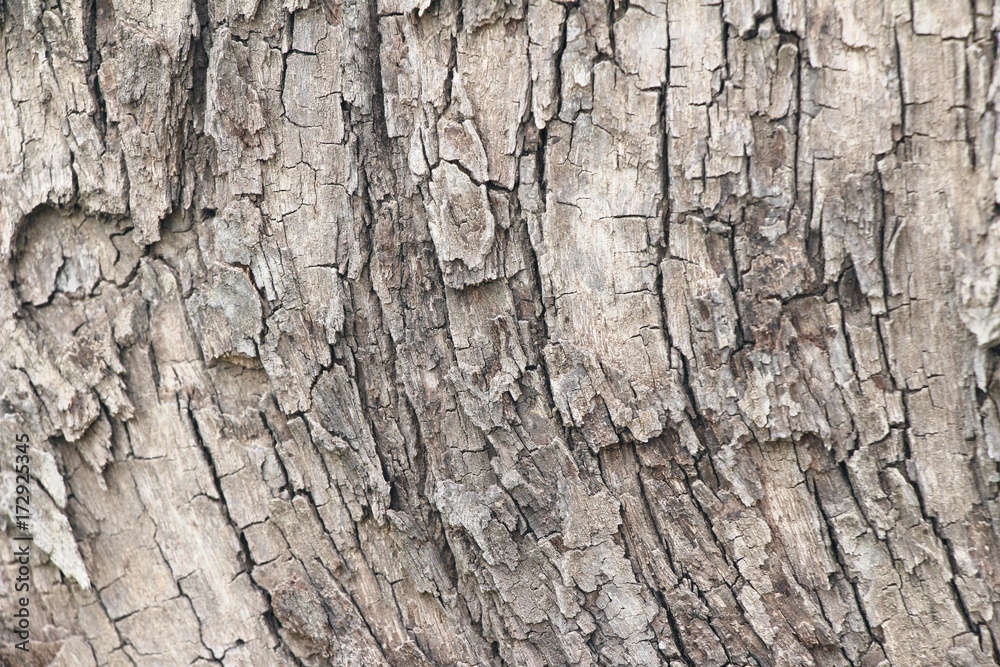 Old wooden beauty wall background and texture Old wooden beauty wall background and texture
