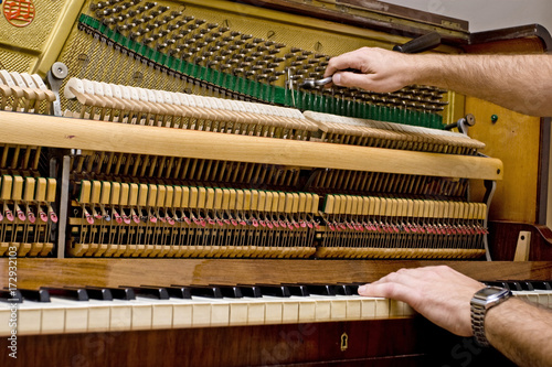 piano tuner plays and tweaks the hammers photo