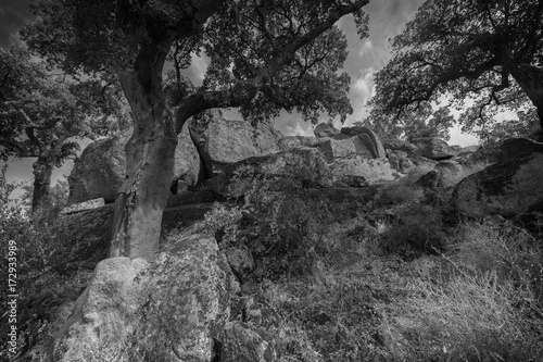 Landscape in the natural area of Valcorchero, near Plasencia. Extremadura. Spain. photo